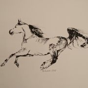 Koń w galopie - pastel olejna, papier -28x48